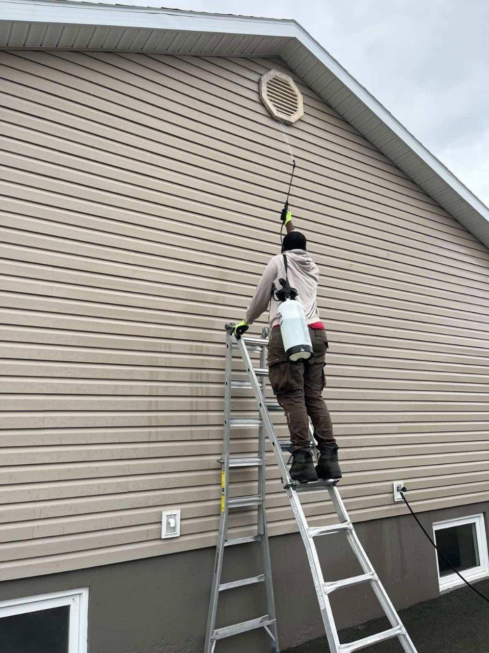 Siding cleaning